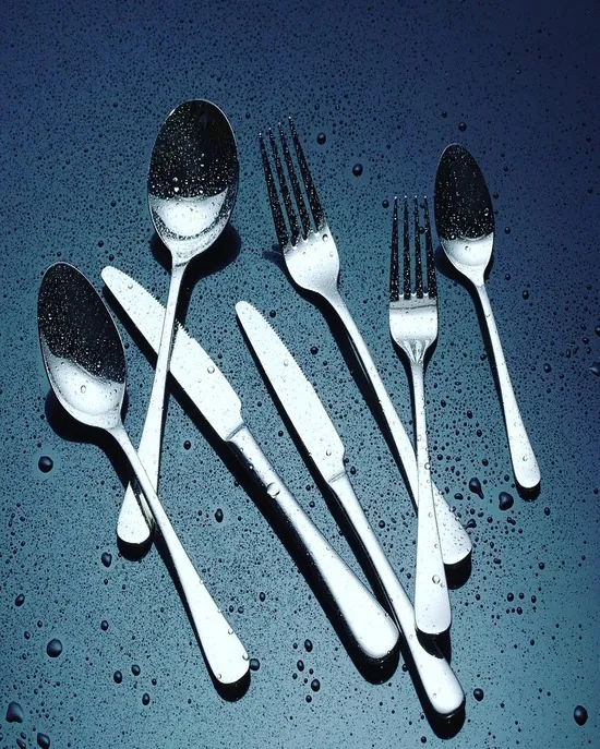 Stainless Steel Cutlery